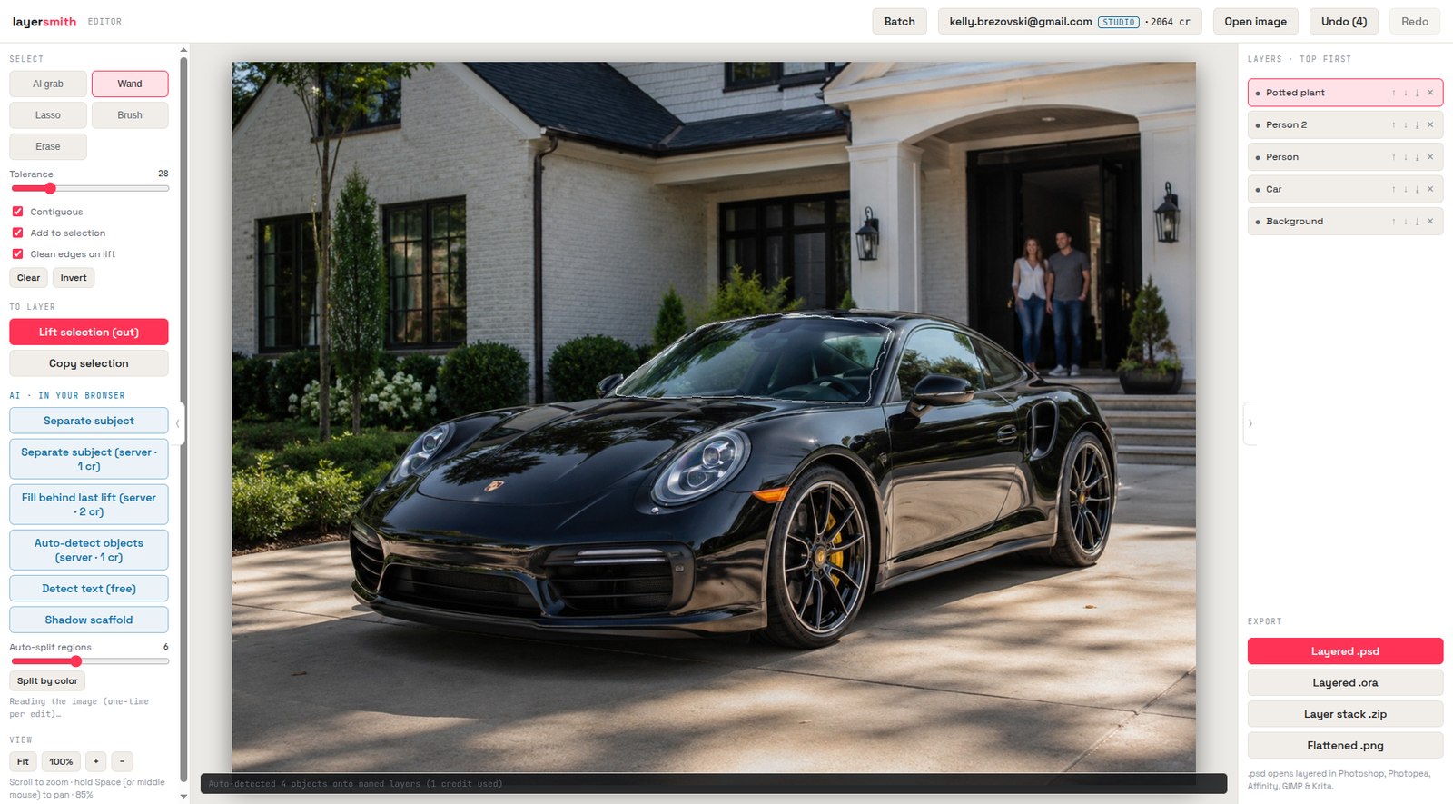 Editor after auto-detect: a driveway photo separated into Car, Person, Potted plant and Background layers